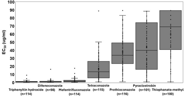 A box plot depicting effectiveness of different fungicides on Cercospora leaf spot.